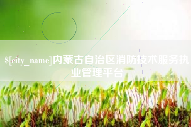 济南内蒙古自治区消防技术服务执业管理平台