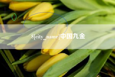 济南中国九金