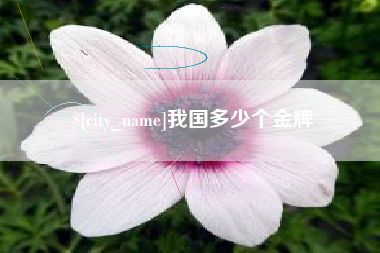 济南我国多少个金牌