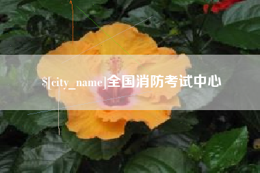 济南全国消防考试中心