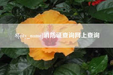 济南消防证查询网上查询