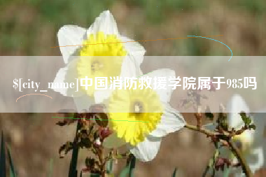 济南中国消防救援学院属于985吗