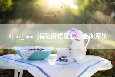 济南消防资格证怎么查询系统