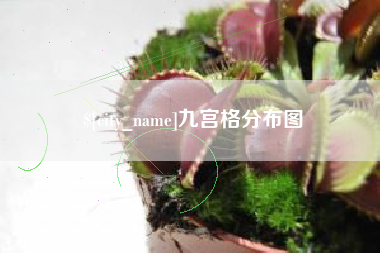 济南九宫格分布图