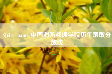 济南中国消防救援学院历年录取分数线