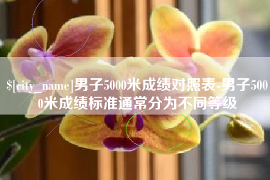 济南男子5000米成绩对照表-男子5000米成绩标准通常分为不同等级