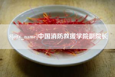 济南中国消防救援学院副院长