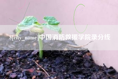 济南中国消防救援学院录分线