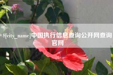 济南中国执行信息查询公开网查询官网