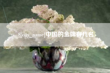 济南中国的金牌有几名