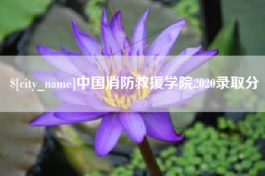 济南中国消防救援学院2020录取分