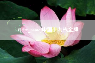 济南中国十九枚金牌