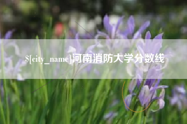 济南河南消防大学分数线