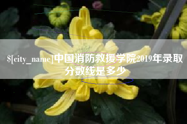 济南中国消防救援学院2019年录取分数线是多少
