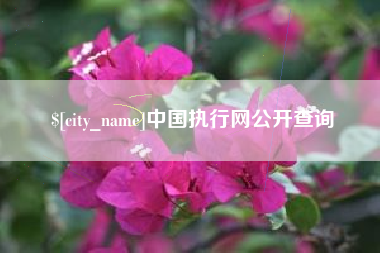 济南中国执行网公开查询