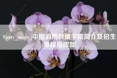 济南中国消防救援学院简介及招生章程指挥部
