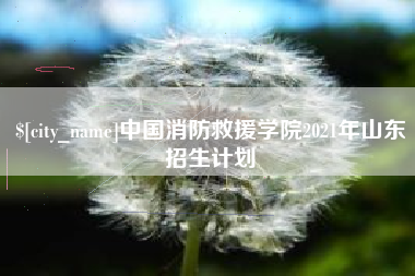 济南中国消防救援学院2021年山东招生计划