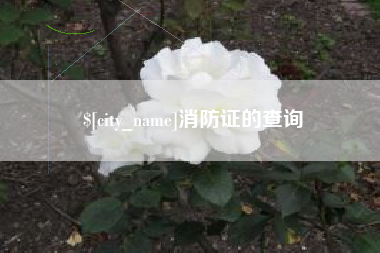 济南消防证的查询