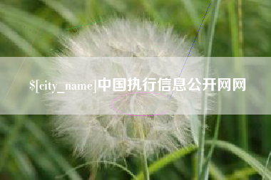 济南中国执行信息公开网网