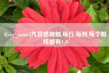 济南九宫格规则,每行,每列,每个粗线都有1-9