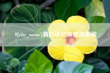 济南消防证初级查询系统