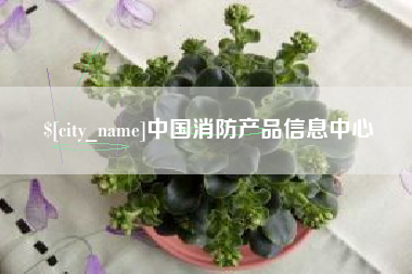 济南中国消防产品信息中心
