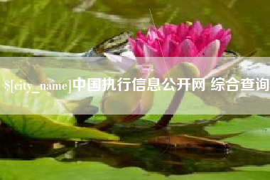济南中国执行信息公开网 综合查询