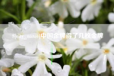 济南中国金牌得了几枚金牌