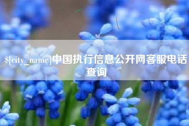济南中国执行信息公开网客服电话查询