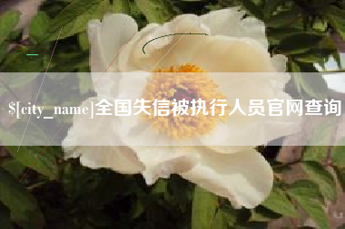 济南全国失信被执行人员官网查询