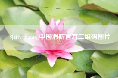 济南中国消防官方二维码图片