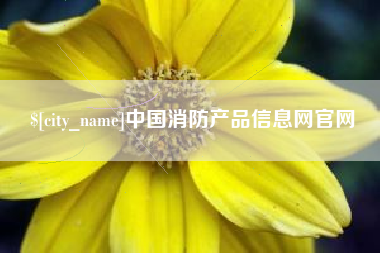 济南中国消防产品信息网官网