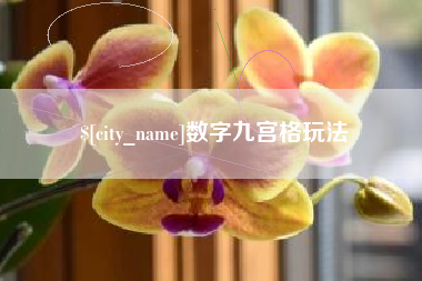 济南数字九宫格玩法