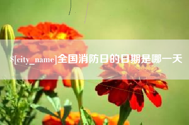 济南全国消防日的日期是哪一天