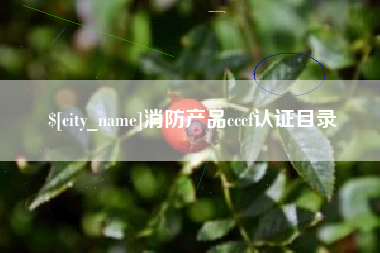 济南消防产品cccf认证目录