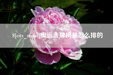 济南奥运金牌榜是怎么排的