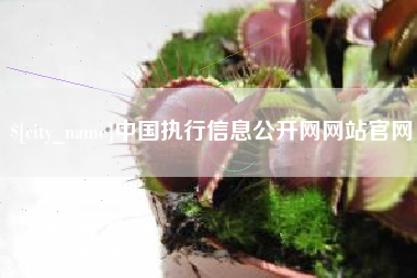 济南中国执行信息公开网网站官网