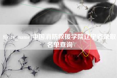 济南中国消防救援学院辽宁省录取名单查询