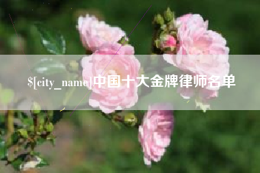 济南中国十大金牌律师名单