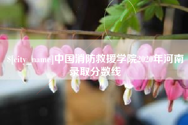 济南中国消防救援学院2020年河南录取分数线