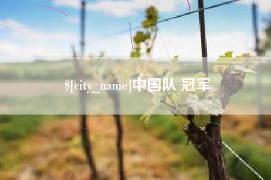 济南中国队 冠军