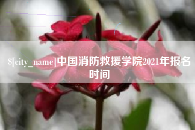 济南中国消防救援学院2021年报名时间