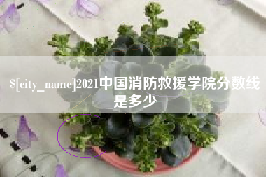 济南2021中国消防救援学院分数线是多少