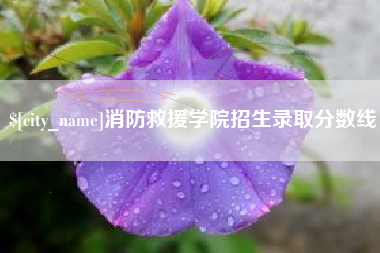 济南消防救援学院招生录取分数线