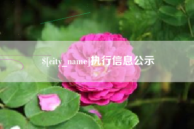 济南执行信息公示