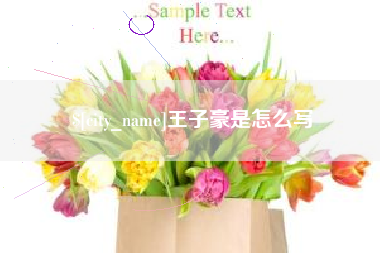 济南王子豪是怎么写