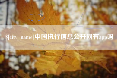 济南中国执行信息公开网有app吗