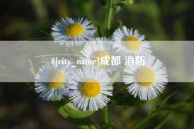济南成都 消防
