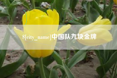 济南中国队九块金牌