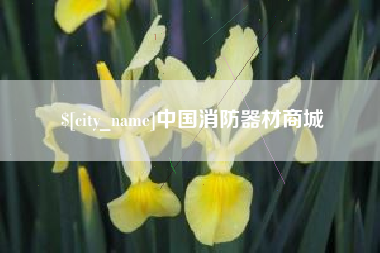 济南中国消防器材商城